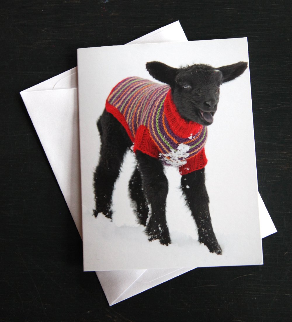 Notecards - Set of 10 - Black Lamb in Sweater - FREE SHIPPING